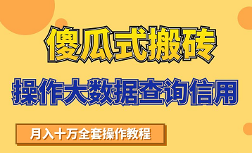 搬砖操作大数据查询信用项目赚钱教程,祝你快速月入6万-聚富社