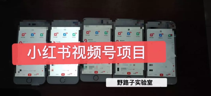 野路子小红书视频号1.0项目,直接上手操作就能赚钱的视频号项目-聚富社