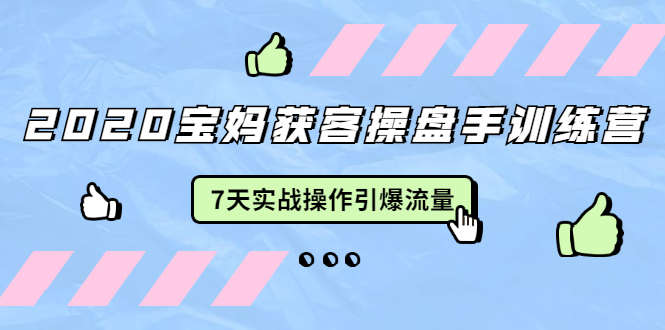 2020宝妈获客操盘手训练营:7天实战操作引爆 母婴、都市、购物宝妈流量-聚富社