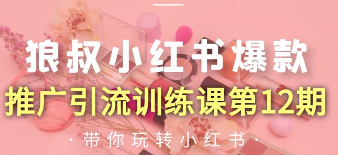 狼叔小红书爆款推广引流训练课第12期,手把手带你玩转小红书-聚富社