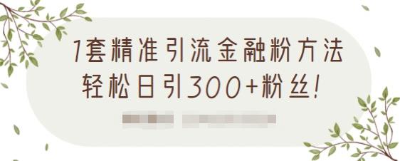 1套精准引流金融粉方法,轻松日引300+粉丝-聚富社