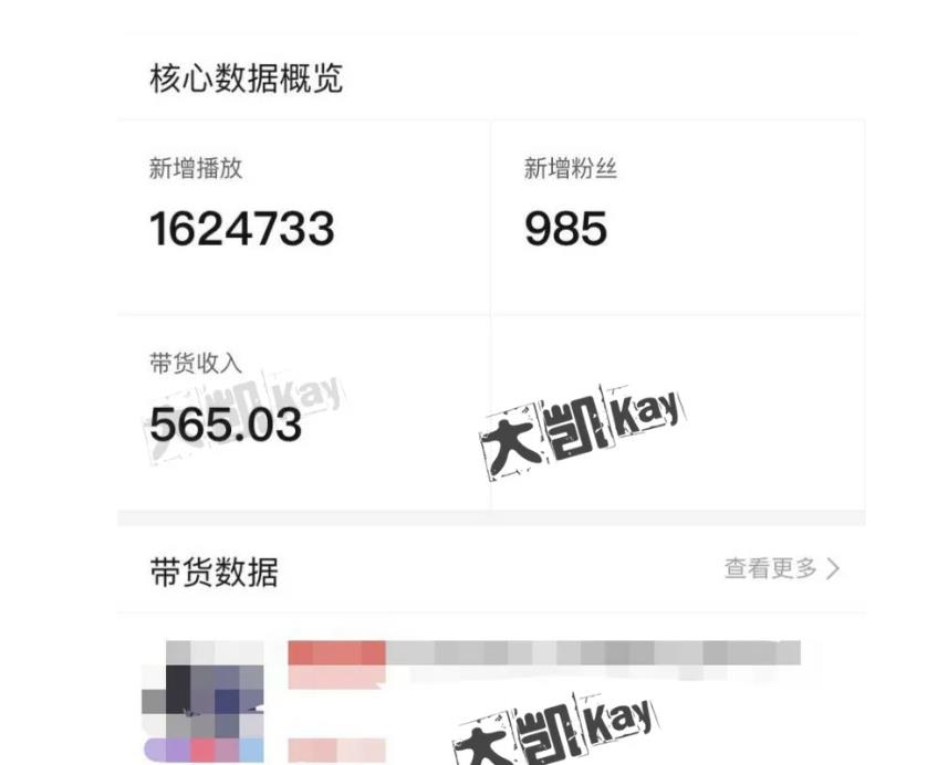 大凯进阶圈新玩法之拼多多视频玩法,利润大概一个号一天能有500~1500的左右!-聚富社