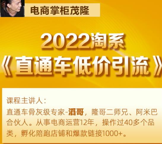 茂隆2022直通车低价引流玩法,教大家如何低投入高回报的直通车玩法-聚富社