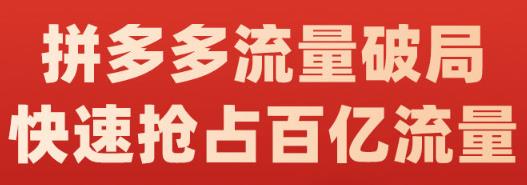 阿杰·拼多多流量破局:如何打黑标,爆款的思路,拼多多流量框架,快速抢占百亿流量-聚富社