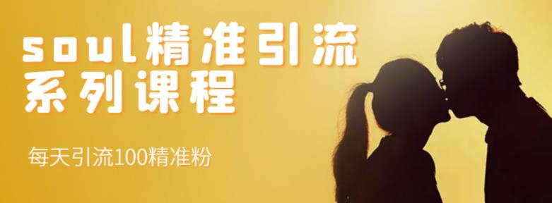 soul精准引流系列课程,每天引流100精准粉-聚富社