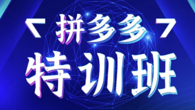星雪教育·拼多多基础班+进阶班+突破班，用系统的学习模式快速改变现状价值3580元-聚富社