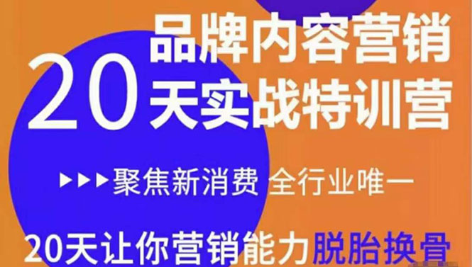 《内容营销实操特训营》20天让你营销能力脱胎换骨(价值3999)-聚富社