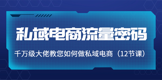 私域电商流量密码:千万级大佬教您如何做私域电商(12节课)-聚富社