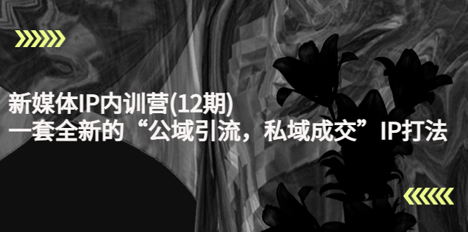 新媒体IP内训营(12期),一套全新的“公域引流,私域成交”IP打法,直接带走-聚富社