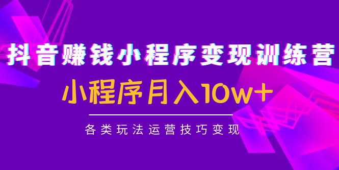抖音赚钱小程序变现训练营:小程序月入10w+各类玩法运营技巧变现-聚富社