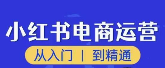 顽石小红书电商高阶运营课程,从入门到精通,玩法流程持续更新-聚富社