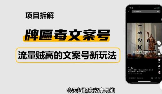 2023抖音快手毒文案新玩法,牌匾文案号,起号快易变现-聚富社