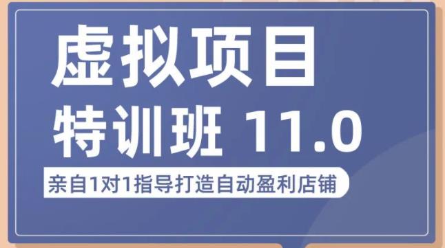 陆明明·虚拟项目特训班(10.0+11.0),0成本获取虚拟素材,0基础打造自动盈利店铺-聚富社