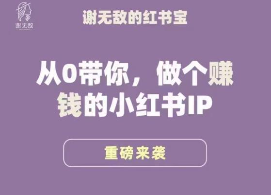 谢无敌·小红书运营大宝典,从0带你做个赚钱的小红书IP-聚富社