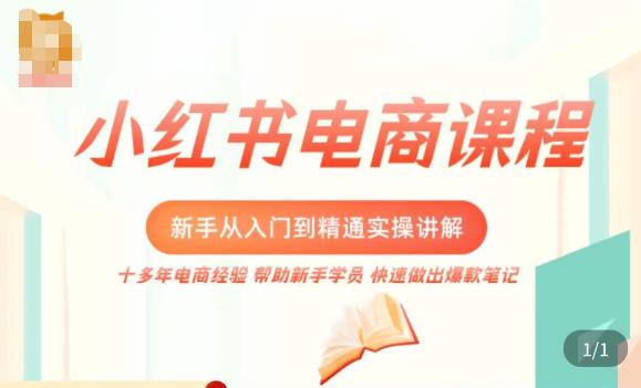 小红书电商新手入门到精通实操课,从入门到精通做爆款笔记,开店运营-聚富社