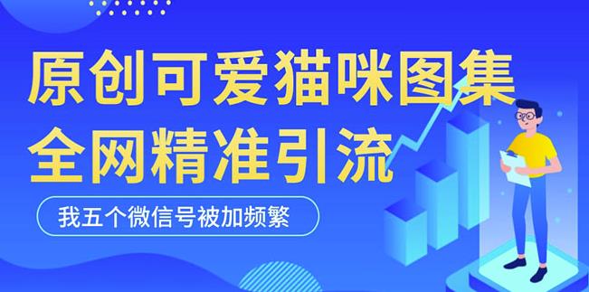 黑科技纯原创可爱猫咪图片，全网精准引流，实操5个VX号被加频繁-聚富社