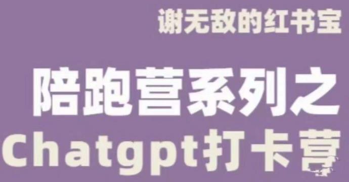 谢无敌ChatGPT打卡营,教你更好地使用ChatGPT来提高工作效率-聚富社