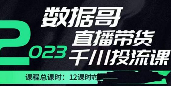 数据哥2023直播电商巨量千川付费投流实操课,快速掌握直播带货运营投放策略-聚富社