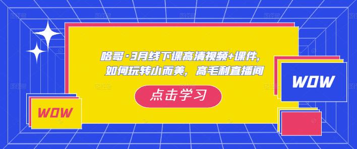 哈哥·3月线下实操课高清视频+课件,如何玩转小而美,高毛利直播间-聚富社