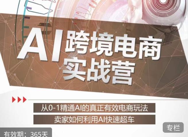 白龙老师·AI跨境电商实战营:从0-1精通Al的真正有效电商玩法,卖家如何利用Al快速超车-聚富社