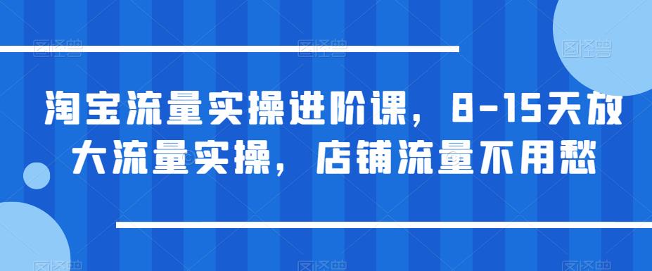 淘宝流量实操进阶课,8-15天放大流量实操,店铺流量不用愁-聚富社