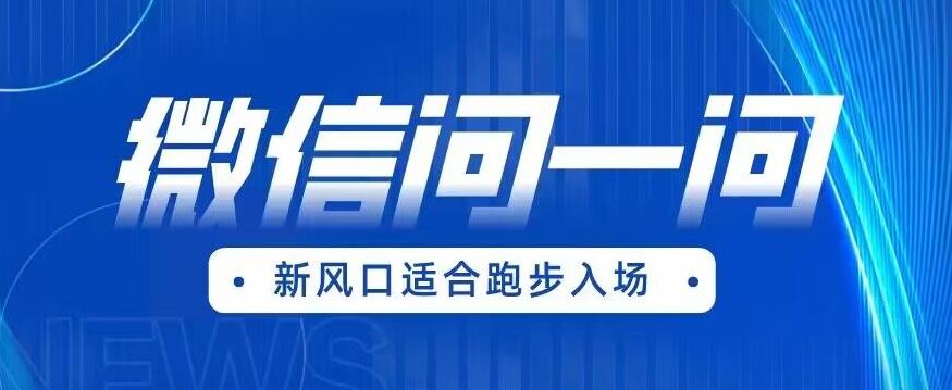 全网首发微信问一问新风口变现项目(价值1999元)【揭秘】-聚富社