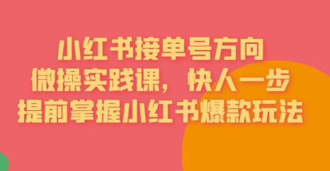 接单号方向·小红书微操实践课,快人一步,提前掌握小红书爆款玩法-聚富社