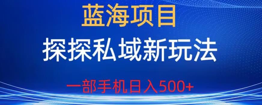 蓝海项目,探探私域新玩法,一部手机日入500+很轻松【揭秘】-聚富社