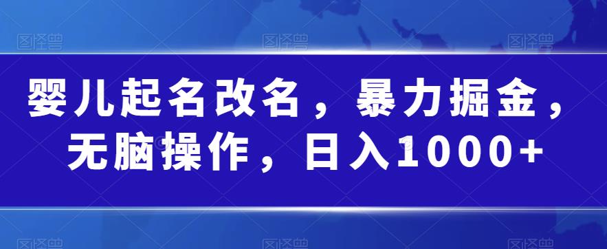 婴儿起名改名，暴力掘金，无脑操作，日入1000+【揭秘】-聚富社