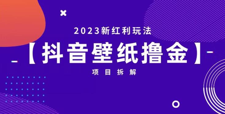 抖音壁纸小程序创作者撸金项目，2023新红利玩法【项目拆解】-聚富社