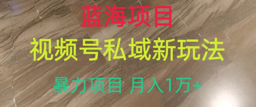 蓝海项目，视频号私域新玩法，暴力项目月入1万+【揭秘】-聚富社
