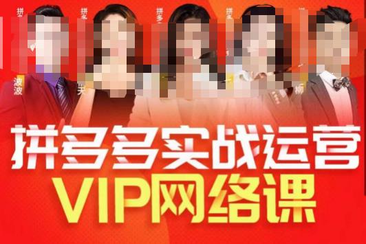推易拼多多VIP全套直播课程,拼多多店铺实操玩法+实战玩法选款内功+直通车高阶等-聚富社
