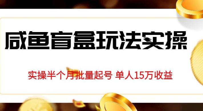 独家首发咸鱼盲盒玩法实操，半个月批量起号单人15万收益【揭秘】-聚富社