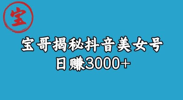 宝哥揭秘抖音美女号玩法,日赚3000+【揭秘】-聚富社