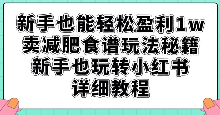 新手也能轻松盈利1w，卖减肥食谱玩法秘籍，新手也玩转小红书详细教程【揭秘】-聚富社