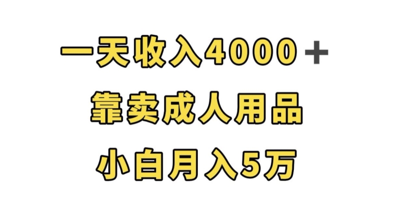 一天收入4000+,靠卖成人用品,小白轻松月入5万【揭秘】-聚富社