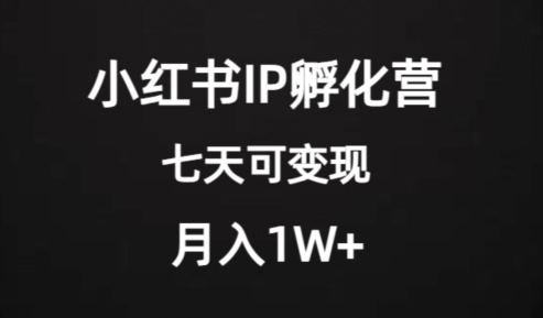 价值2000+的小红书IP孵化营项目,超级大蓝海,七天即可开始变现,稳定月入1W+-聚富社