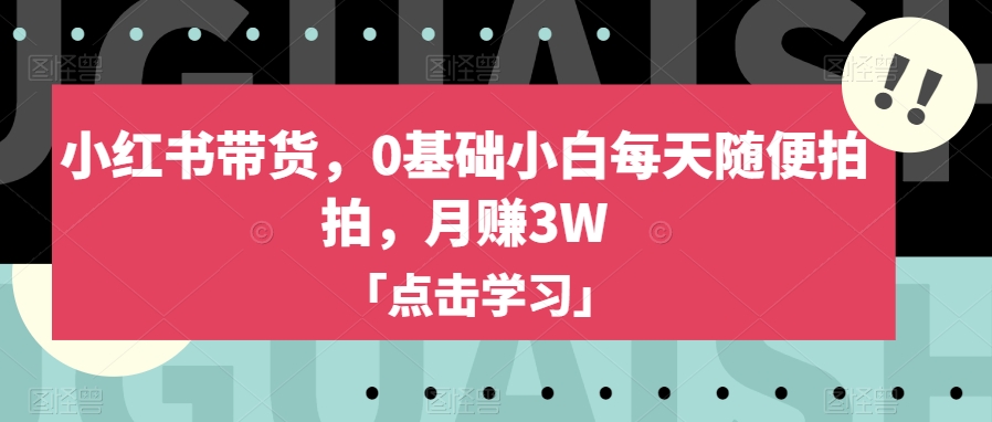 小红书带货,0基础小白每天随便拍拍,月赚3W【揭秘】-聚富社
