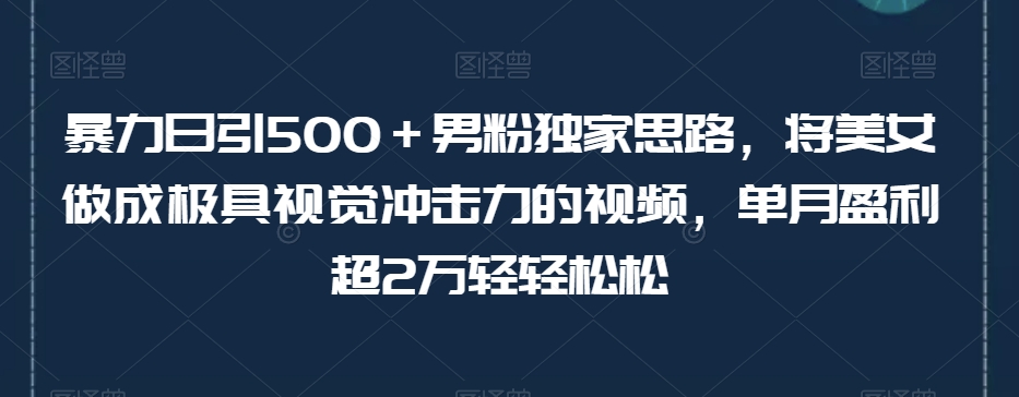 暴力日引500+男粉独家思路,将美女做成极具视觉冲击力的视频,单月盈利超2万轻轻松松-聚富社