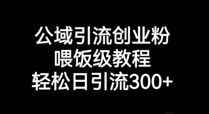 公域引流创业粉，喂饭级教程，轻松日引流300+【揭秘】-聚富社