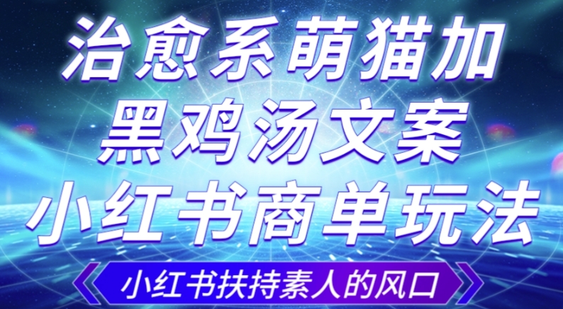 治愈系萌猫加+黑鸡汤文案,小红书商单玩法,3~10天涨到1000粉,一单200左右-聚富社