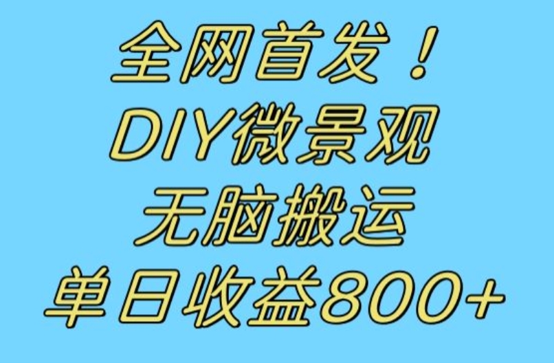 全网首发冷门赛道!DIY微景观,无脑搬运视频,日收益800+【揭秘】-聚富社