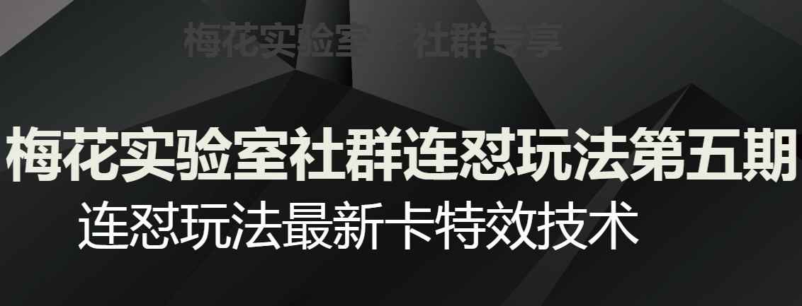 梅花实验室社群连怼玩法第五期，视频号连怼玩法最新卡特效技术-聚富社