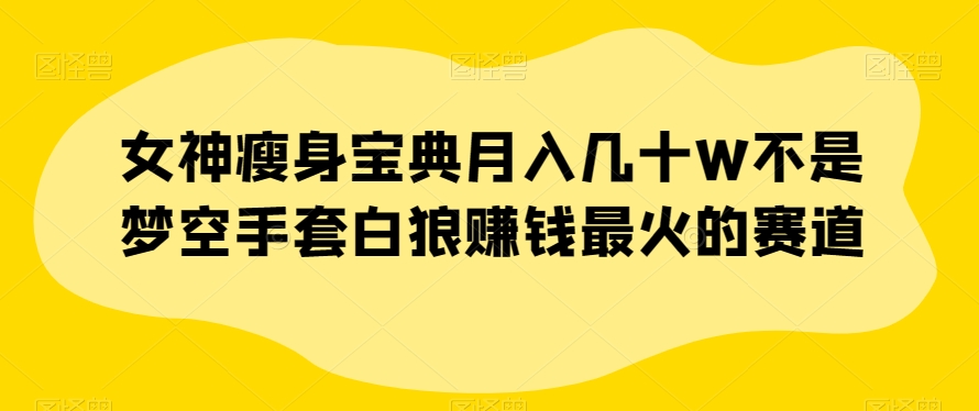 女神瘦身宝典月入几十W不是梦空手套白狼赚钱最火的赛道【揭秘】-聚富社