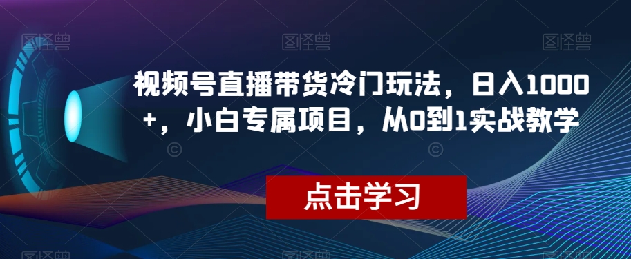 视频号直播带货冷门玩法，日入1000+，小白专属项目，从0到1实战教学【揭秘】-聚富社