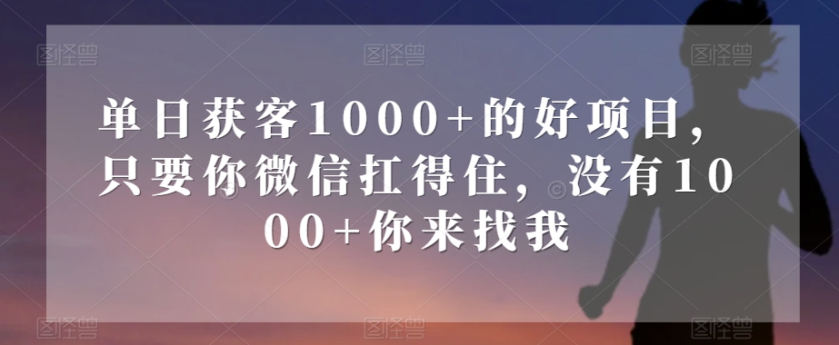 单日获客1000+的好项目，只要你微信扛得住，没有1000+你来找我【揭秘】-聚富社