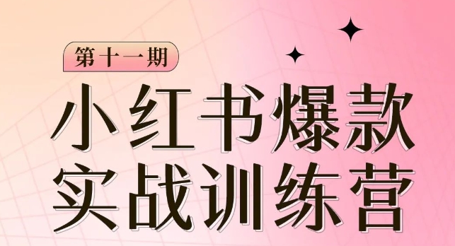 小红书博主爆款训练营第11期,手把手教你从0-1做小红书,从定位到起号到变现-聚富社
