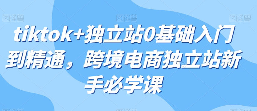 tiktok+独立站0基础入门到精通,跨境电商独立站新手必学课-聚富社