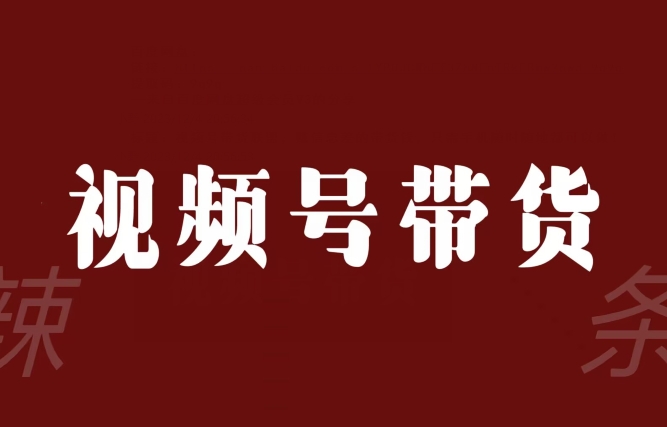 视频号带货联盟,赚信息差的带货钱,只需手机随时随地都可以做!-聚富社