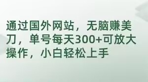 通过国外网站,无脑赚美刀,单号每天300+可放大操作,小白轻松上手【揭秘】-聚富社